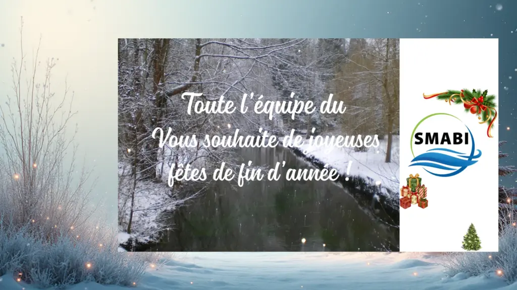 Bannière Joyeuses fêtes SMABI 2025 (9)