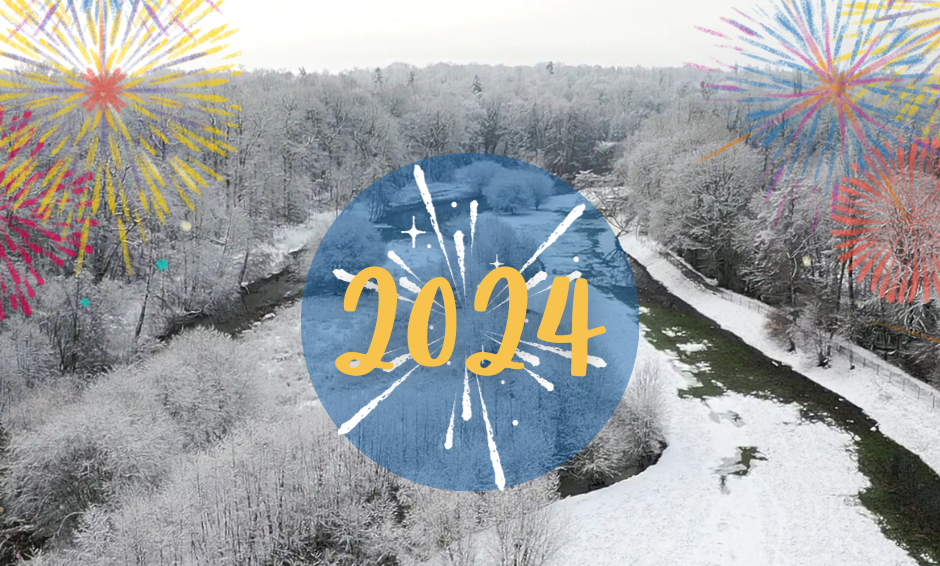 Bonne Année 2024 Sans Texte