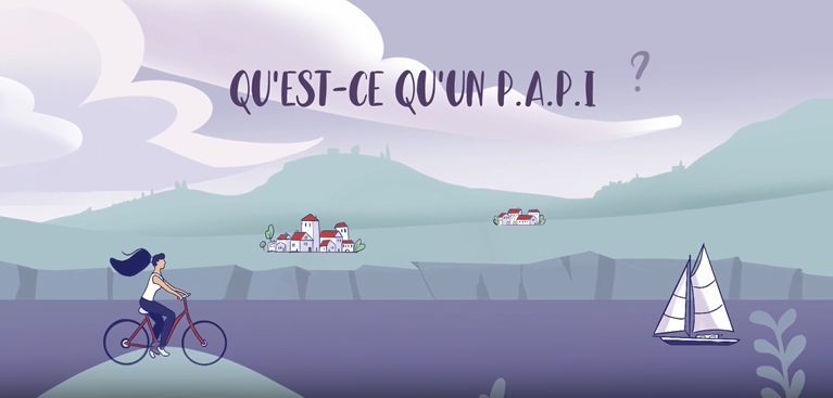 Qu'est-ce qu'un P.A.P.I ?